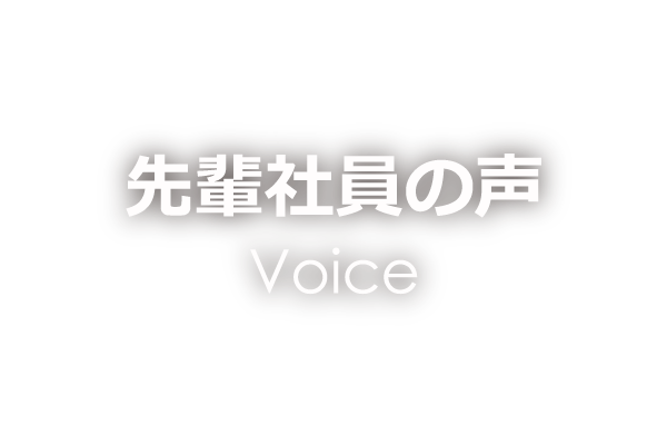 先輩社員の声